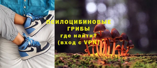 стафф Покачи