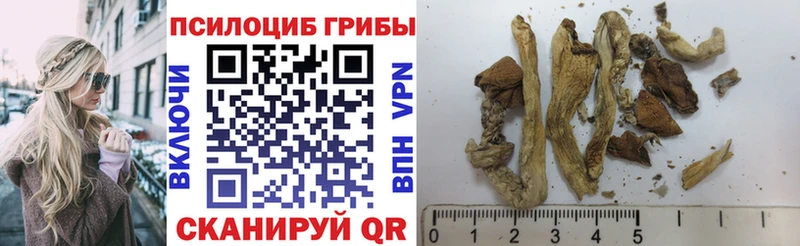 сайты даркнета как зайти Улан-Удэ Галлюциногенные грибы прущие грибы