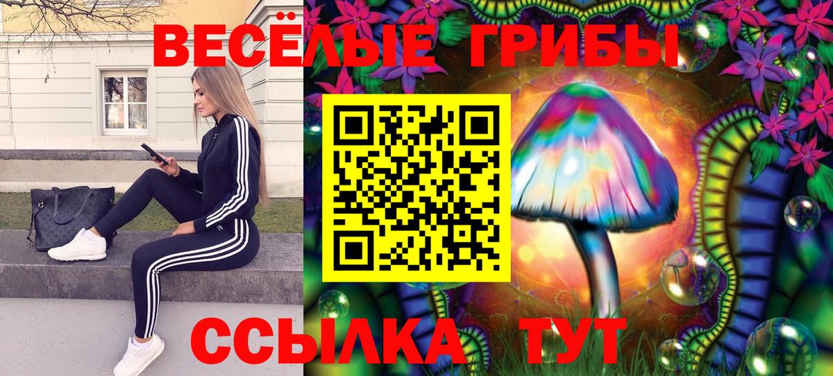 Улан-Удэ  Псилоцибиновые грибы Magic Shrooms  Псилоцибиновые грибы Psilocybine cubensis  Вход с VPN 